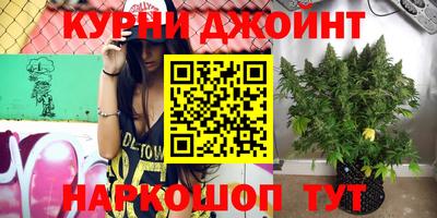 сатива Нальчик