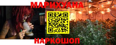 МДПВ Новозыбков