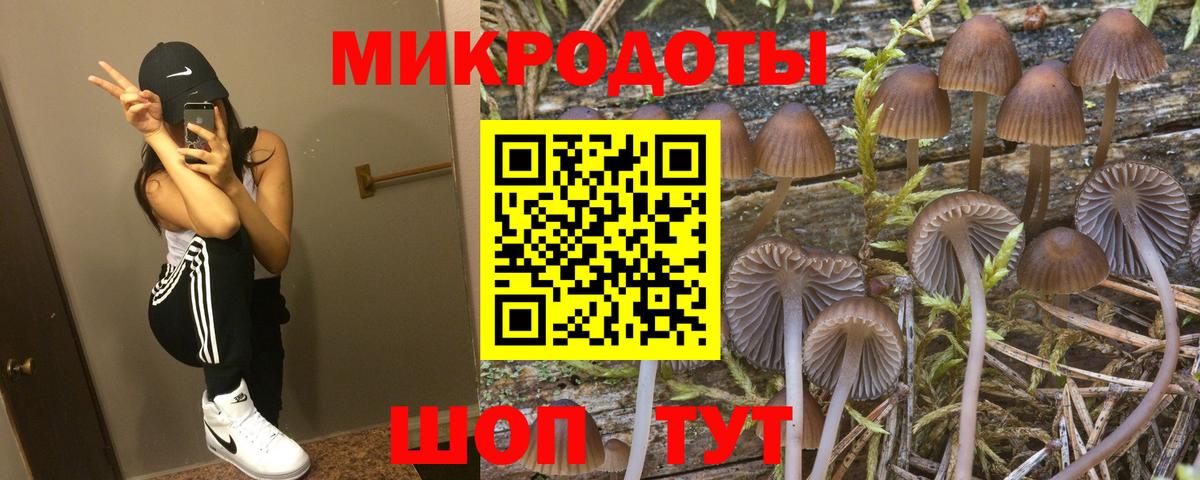 Тихорецк  Псилоцибиновые грибы прущие грибы  Вход с VPN 