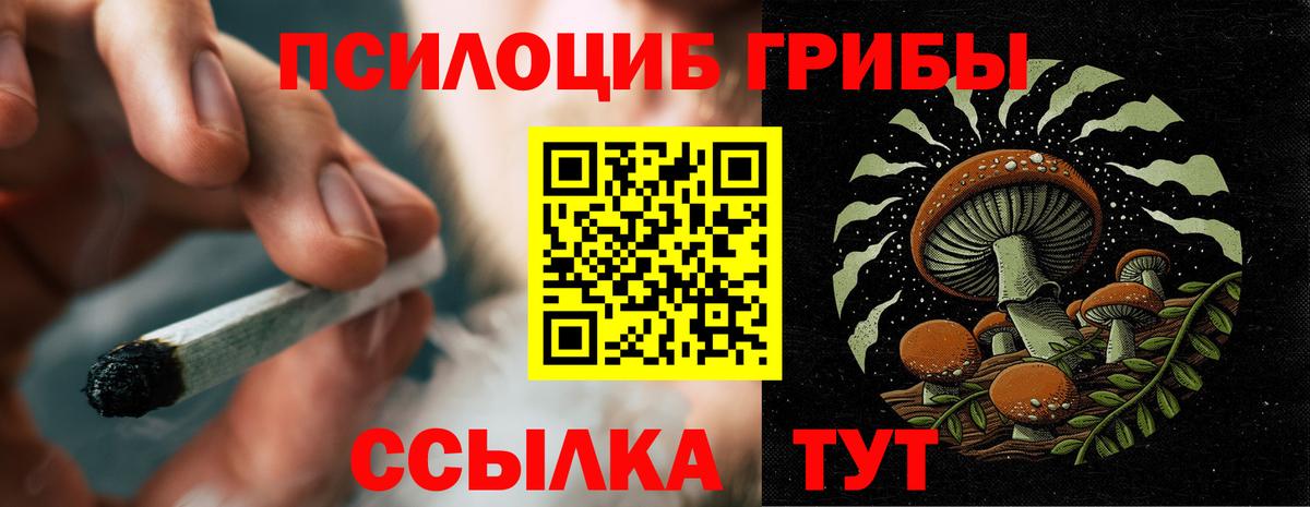 Псилоцибиновые грибы Psilocybine cubensis Тихорецк